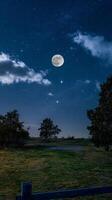 A full moon is seen over a field with trees photo