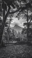 A black and white photo of a park with trees and a mountain in the background