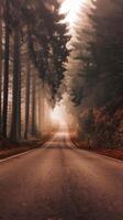 A road in the middle of a forest with trees photo