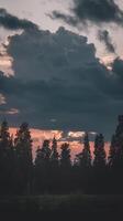 A dark sky with trees and clouds photo