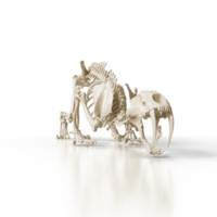 Prehistoric Predator Fossilized Bones png