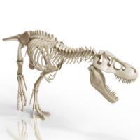 Tyrannosaurus Fossil Structure png