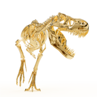 Ancient Tyrannosaurus Rex Bone Structure png