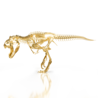 Fossilized Tyrannosaurus Rex Claws png