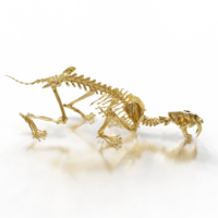 Fossilized Sabretooth Cat Structure png