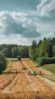 Beautiful field and forest on a background of clouds on a sunny summer day nature landscape harvesting and preparing the field for sowing seeds photo