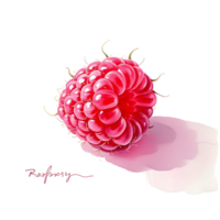A drawing of a raspberry on a black background png