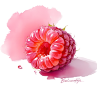 A raspberry is shown with a splash of pink paint png
