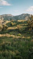 A grassy field with trees and hills photo