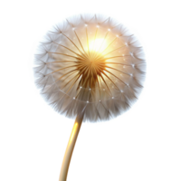 serene abstract vibrant minimalist A single, perfect dandelion seedhead, backlit by the sun, delicate lighting, ethereal style 4K authentic png