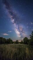 The milky way over the field photo