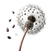 serene modern dramatic traditional A single dandelion seedhead with seeds blowing in the wind, delicate and ethereal, black and white photography premium genuine png