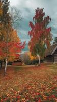 Autumn in the woods with a log cabin and trees photo