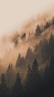 A foggy mountain with trees in the background photo