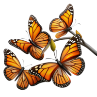 extraordinary creative impressive traditional A group of Monarch butterflies clustered on a branch, with vibrant orange and black wings, in a nature documentary style authentic high resolution png