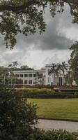 A large white building with a green lawn and trees photo