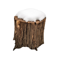 Wooden tree stump covered with a layer of snow png