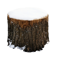 Tree stump covered in snow with rough textured bark png