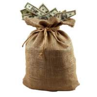 Burlap sack filled with cash overflowing from the top png