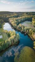 An aerial view of a river and forest photo