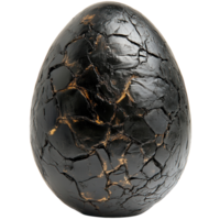 Fossil Egg Prehistoric Relic on transparent background. png
