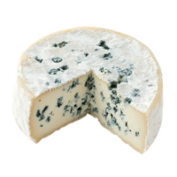 Gourmet Blue Cheese Mold on transparent background. png