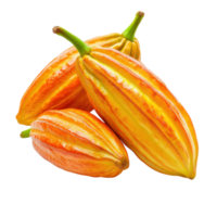 Cocoa Seeds White Background on transparent background. png