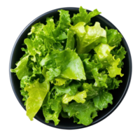Fresh Green Salad Bowl on transparent background. png