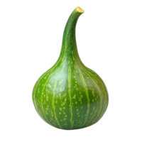 Green Calabash Gourd Still Life on transparent background. png