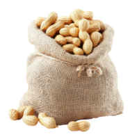 Roasted Peanuts Background on transparent background. png