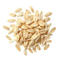 Single Oat Grain Macro Shot on transparent background. png