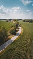 An aerial view of a road in a corn field photo