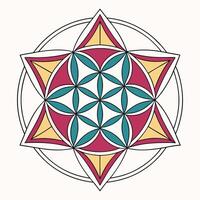 Mandala design element EPS vector