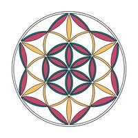Mandala pattern design EPS vector