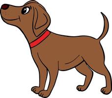 Happy dog standing and looking vector