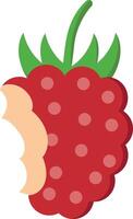 illustration of a bitten raspberry graphic vector