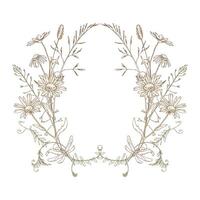 Field, meadow, wild flowers and herbs chamomile, meadow bluegrass and dragonfly. Line art is a simple hand-drawn illustration in beige, ochre, brown ink. Circle wreath frame EPS vector