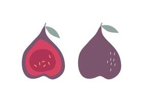 Fig, slices and whole fruit. Set of simple abstract fruits. Vitamin natural vegetarian food. Color flat illustration, graphics. Isolated white background. vector