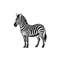 Stripes in Style Bold and Artistic Zebra Illustration Design vector