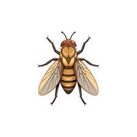 Tiny Marvel Capturing the Dung Fly in Illustration Design vector