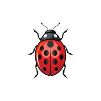 Red and Bold Crafting a Realistic Ladybug Illustration Design vector