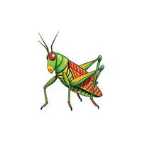 Leaping into Art A Realistic Grasshopper Illustration Design vector