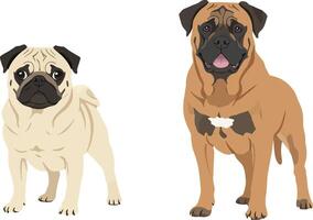 Two adorable dogs standing side by side in a flat, colorful design showcasing their distinct features in art vector