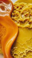 A close up of a honeycomb with honey dripping from it photo