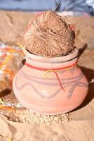 A coconut is hanging from a pot on a wall photo