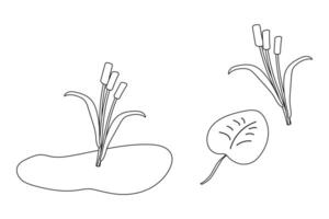 Black and white coloring page featuring cattail plants, a lily pad, and a pond in a simple nature-themed design. vector