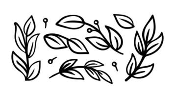 A whimsical doodle tree branch set with intricate line art and playful designs. Perfect for adding creative, nature-inspired charm to any project. vector