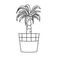 Outline potted palm tree. The symbol and icon of a houseplant. vector