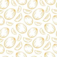 Seamless Pattern Featuring Melon and Slice Line Art on White Background vector