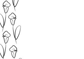 poster template with calla lily flower icons from stems in line art style drawn with original outline, for logos, designs or ornaments vector